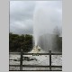 Rotorua 053.jpg